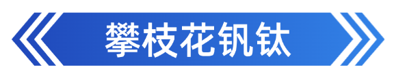 稿定设计-9.png